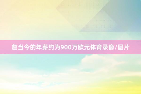 詹当今的年薪约为900万欧元体育录像/图片