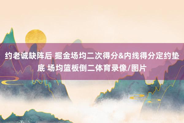 约老诚缺阵后 掘金场均二次得分&内线得分定约垫底 场均篮板倒二体育录像/图片