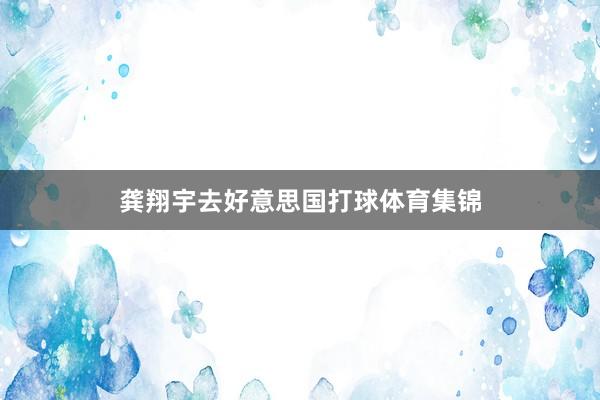 龚翔宇去好意思国打球体育集锦