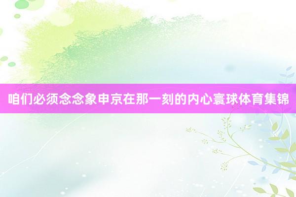 咱们必须念念象申京在那一刻的内心寰球体育集锦