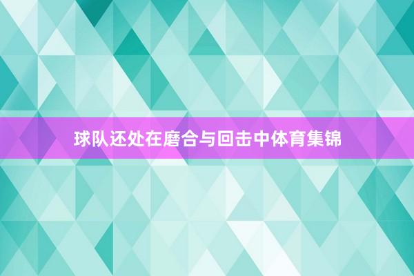 球队还处在磨合与回击中体育集锦