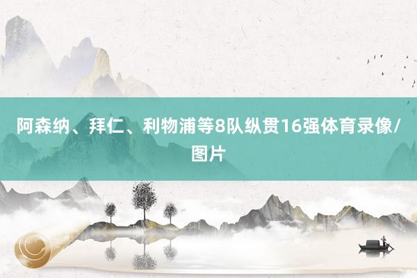 阿森纳、拜仁、利物浦等8队纵贯16强体育录像/图片
