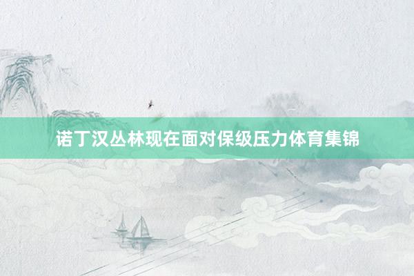 诺丁汉丛林现在面对保级压力体育集锦