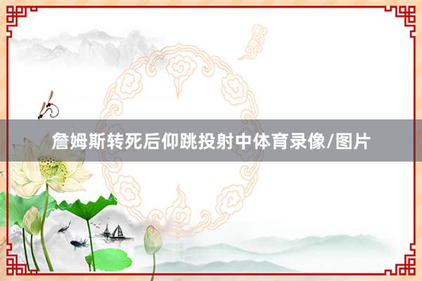 詹姆斯转死后仰跳投射中体育录像/图片