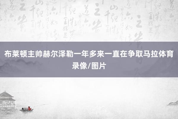 布莱顿主帅赫尔泽勒一年多来一直在争取马拉体育录像/图片