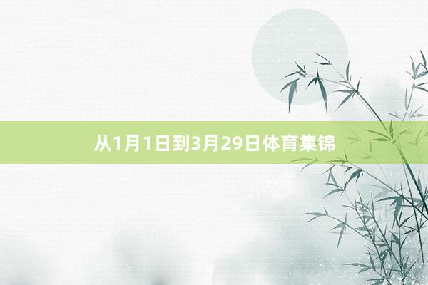 从1月1日到3月29日体育集锦