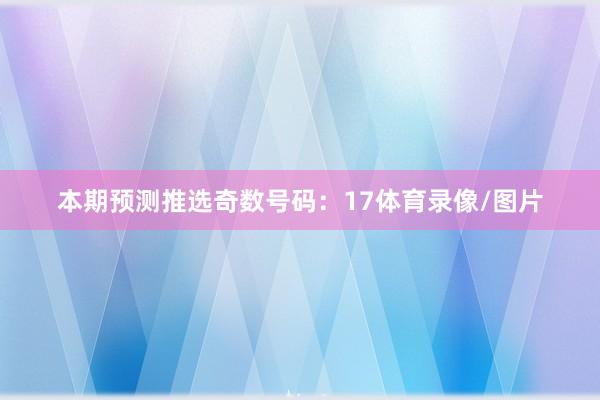 本期预测推选奇数号码:17体育录像/图片