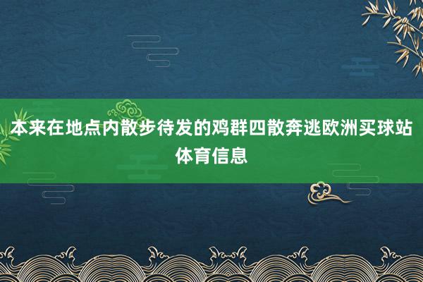 本来在地点内散步待发的鸡群四散奔逃欧洲买球站体育信息