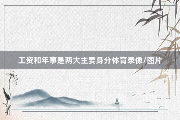 工资和年事是两大主要身分体育录像/图片